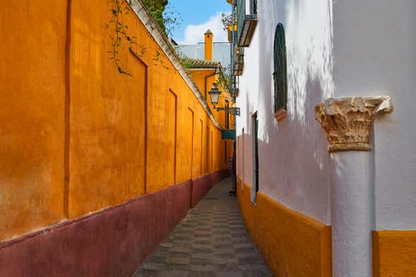 Free tour pelo bairro de Santa Cruz
