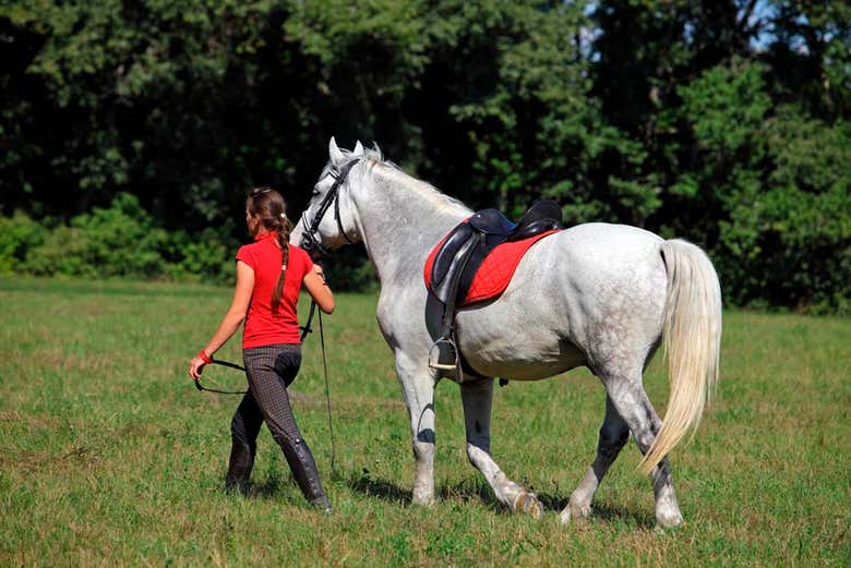 Preparação para o passeio a cavalo