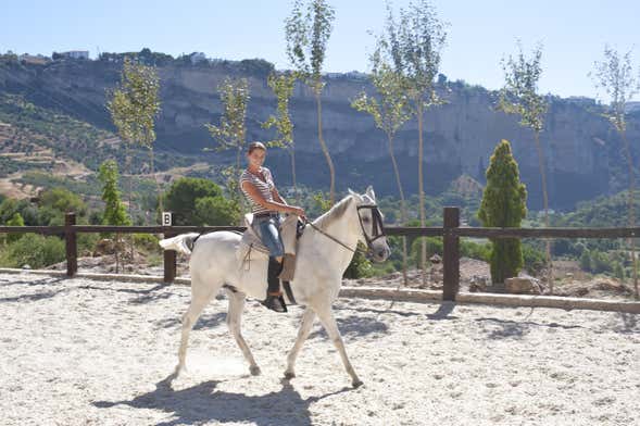 Passeio a cavalo por Doñana e El Aljarafe