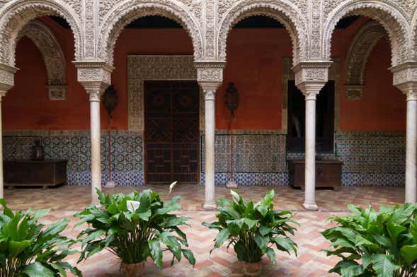 Visita guiada pela Casa de Salinas