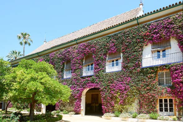 Visita guiada pelo Palácio de las Dueñas